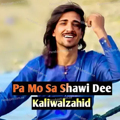 Pa Mo Sa Shawi Dee - Kaliwal Zahid album cover 