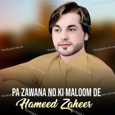 Pa Zawana No Ki Maloom De - Hameed Zaheer album cover 