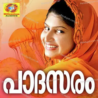 Ninte Kakkapulli - Arun album cover 