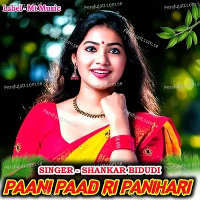 Paani Paad Ri Panihari - Shankar Bidhudi album cover 