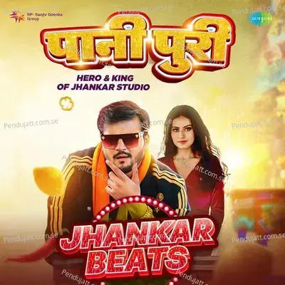 Paani Puri - Jhankar Beats - Hero And king Of Jhankar Studio album cover 