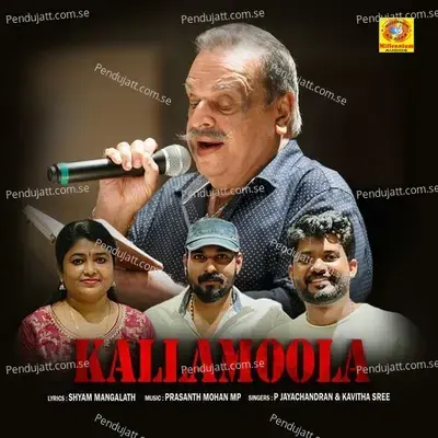 Paattupaadi Koottukoodi - Prasanth Mohan M P album cover 