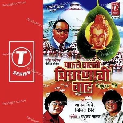 Paaule Chalati Chisarnachi Vaat - Madhukar Pathak cover album