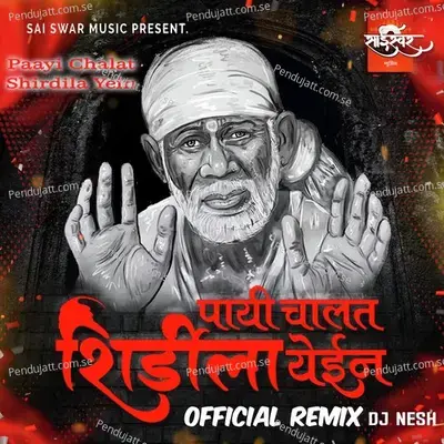 Paayi Chalat Shirdila Yein - Official Remix - Dj Nesh - Omkaar Mahadik album cover 