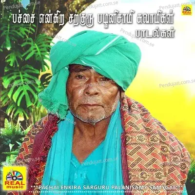 Pachai Enkira Sarguru Palanisamy Samygal - Sastha cover album