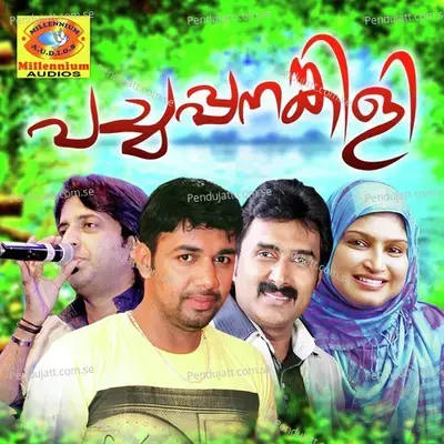 Vellinilavinte - Salih Pandikadu album cover 