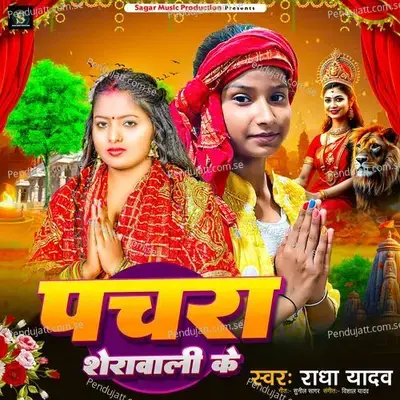 Pachara Sherawali Ke - Radha Yadav album cover 