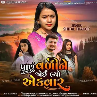 Pachhu Vali Ne Joi Lyo Ek Var - Shital Thakor album cover 