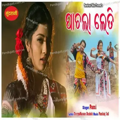 Pachla Leti - Pami album cover 