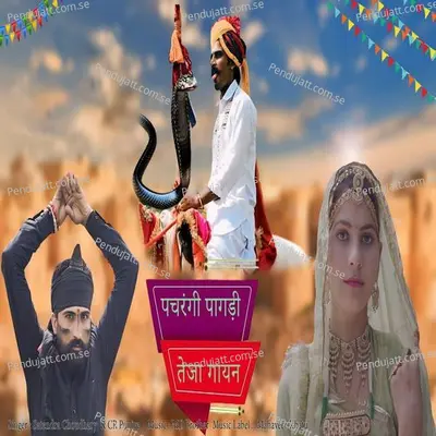 Pachrangi Pagdi Teja Gayan - Satendra Choudhary album cover 