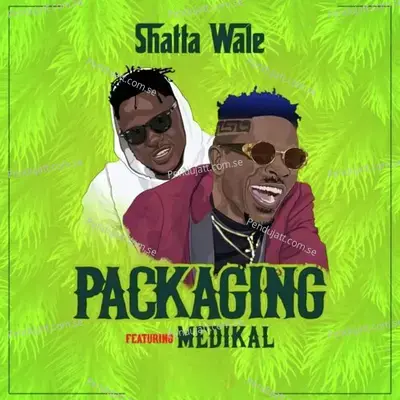 Packaging - Shatta Wale album cover 