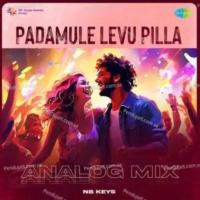 Padamule Levu Pilla - Analog Mix - NB Keys album cover 