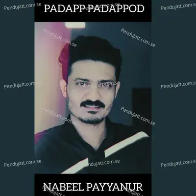 Padapp Padappod - NABEEL PAYYANUR album cover 