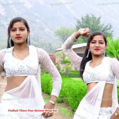 Padbali Tharo Pyar System Heng Kar - Vicky Meena Ramsinghpura album cover 