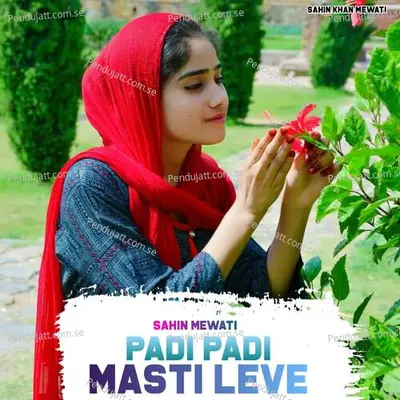 Padi Padi Masti Leve - Sahin Mewati album cover 