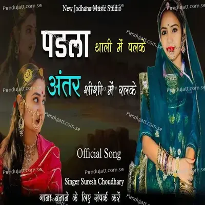 Padla Thali Me Palke Antar Sheeshi Me Ralke - Suresh Choudhary album cover 