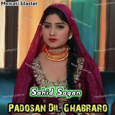 Padosan Dil Ghabraro - Sahid Sogan album cover 