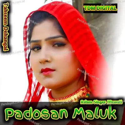 Padosan Maluk - Tahseem Dehangal album cover 