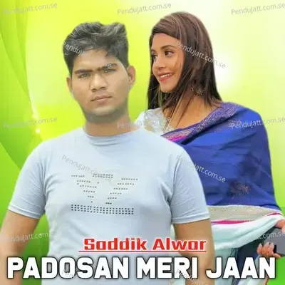 Padosan Meri Jaan - Saddik Alwar album cover 