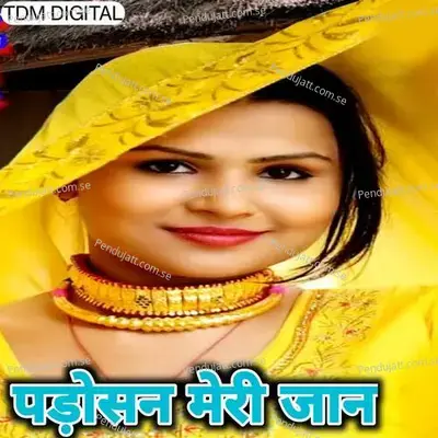 Padosan Meri Jaan - Tahseem Dehangal album cover 