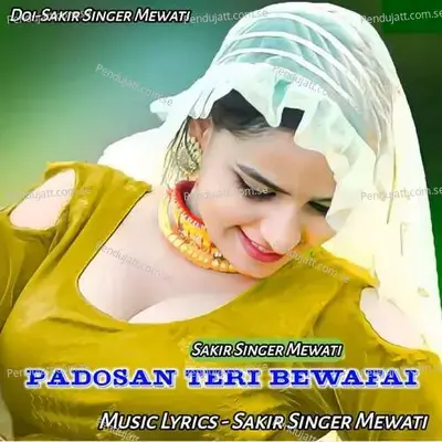 Padosan Teri Bewafai - Sakir Singer Mewati album cover 