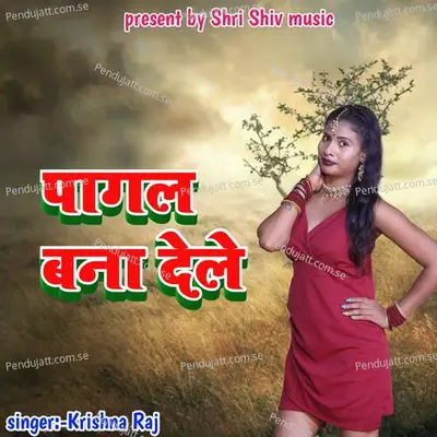 Pagal Bana Dele - Krishna Raj album cover 