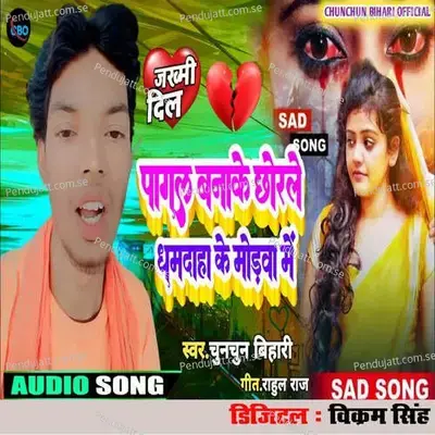 Pagal Banake Chhorale Dhamadaha Me Modawa Me - Chunchun Bihari album cover 