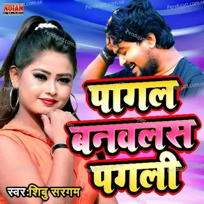 Pagal Banawalash Pagli - Shibu Sargam album cover 