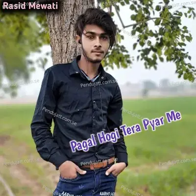 Pagal Hogi Tera Pyar Me - Rasid Mewati album cover 