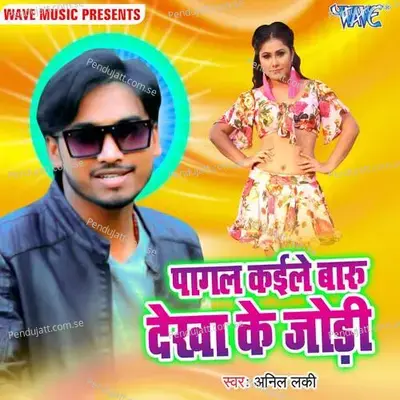 Pagal Kaile Baru Dekha Ke Jori - Anil Lucky album cover 