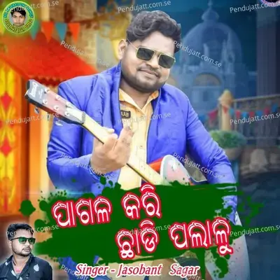 Pagal Kari Chhadi Palalu - Jasobant Sagar album cover 