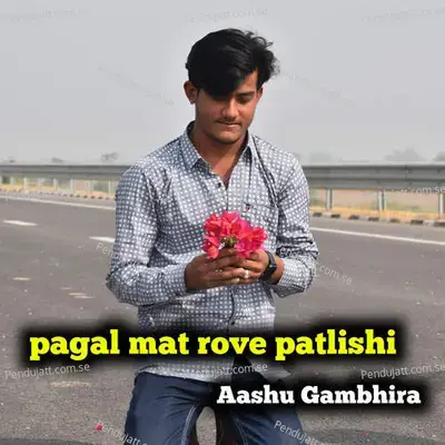 Pagal Mat Rove Patlishi - Aashu Gambhira album cover 