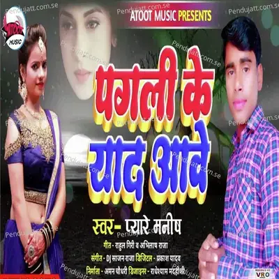 Bhaasaan Mein Hoi Naagin Dance - Appu Bihari album cover 