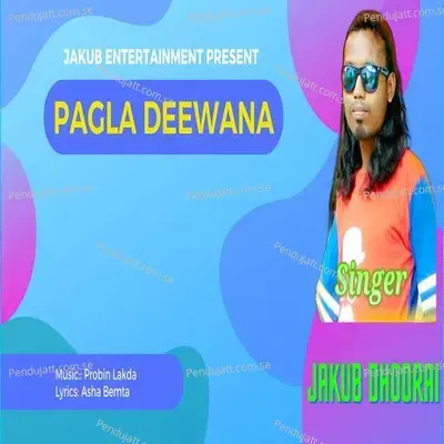 Pagla Deewana - Jakub Dhodrai album cover 