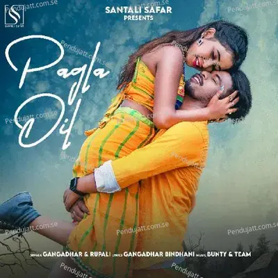 Pagla Dil - GANGADHAR BINDHANI album cover 