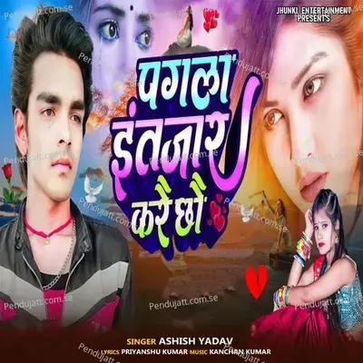 Pagla Injar Kare Chhe - Ashish Yadav album cover 