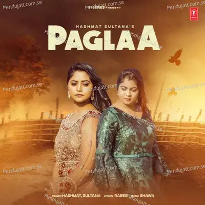 Paglaa - Hashmat album cover 