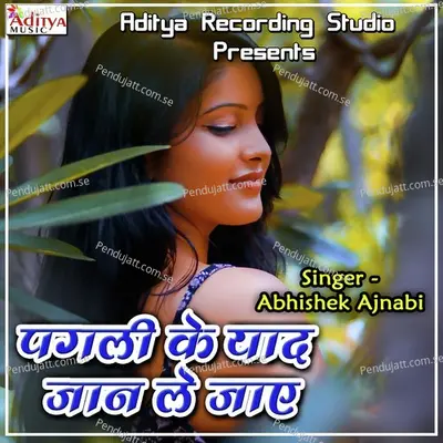 Pagli Ke Yaad Jaan Le Jayi - Abhishek Ajnabi album cover 