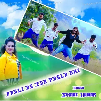 Pagli Re Tor Pagla Nai - Shikari Kumar album cover 