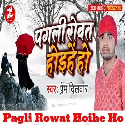 Pagli Rowat Hoihe Ho - Prem Dildar album cover 