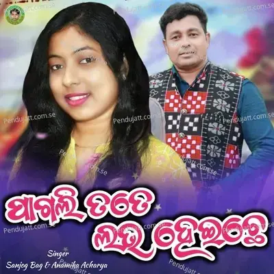 Pagli Tate Love Heichhe - Sanjog Bag album cover 