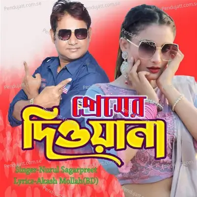 Pagol Deewana - Nurul Sagarpreet album cover 