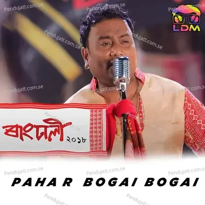 Pahar Bogai Bogai - Krishnamoni Chutia album cover 
