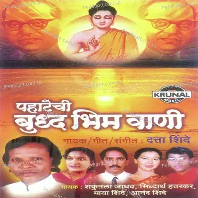 Aamha Bhimrayacha Sahara - Anand Shinde album cover 