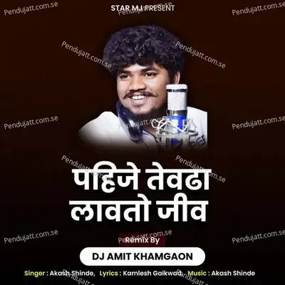 Pahije Tevdha Lavtodj Amit Khamgaon - Akash Shinde album cover 