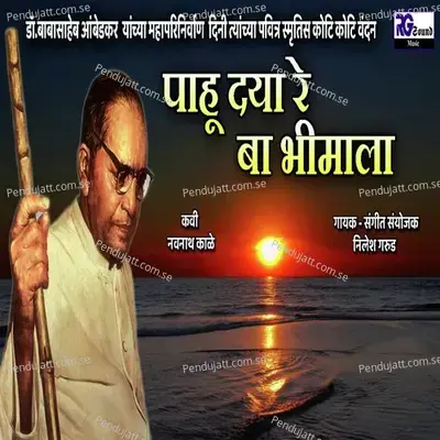 Pahudyare Ba Bhimala - Nilesh Garud album cover 