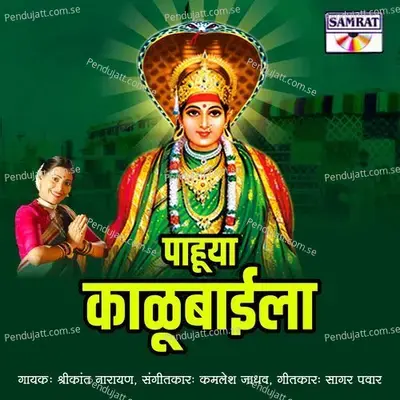 Pahuya Kalubaila - Shrikant Narayan album cover 