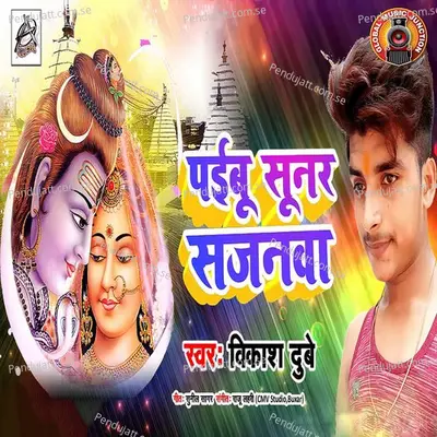 Paibu Sunar Sajanwa - Vikash Dubey album cover 