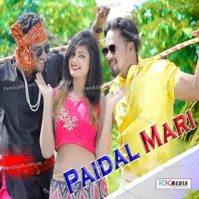 Paidal Mari - Dushmanta Suna album cover 