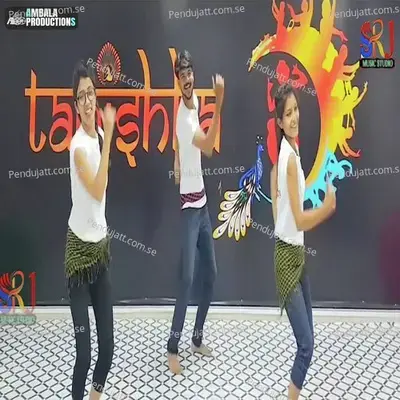Paidal Paidal Chala Melo Top Laagelo - Raju Swami album cover 
